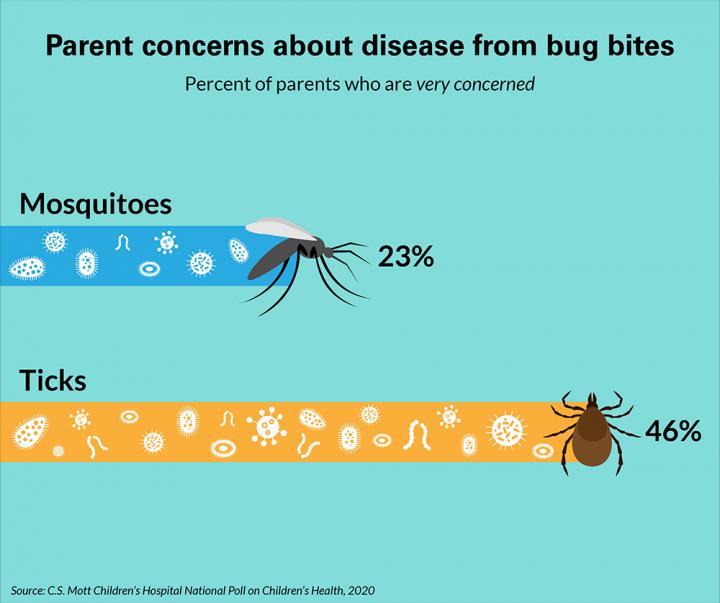 Parent Concerns about Disease from Bug Bites