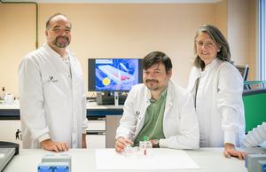 Fernando Benito, permanent doctoral researcher, Pablo Guevara, predoctoral researcher and Lurdes Basabe, Ikerbasque professor.