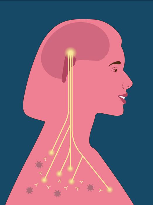 A schematic illustration demonstrating how activity in the brain’s reward system, accompanied by positive expectation, influences the immune system and offers a possible biological explanation for the mind–body connection, including the placebo effect
