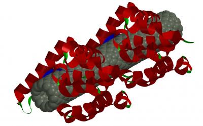 Nanotube