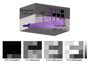 Neural Network Experimental Setup