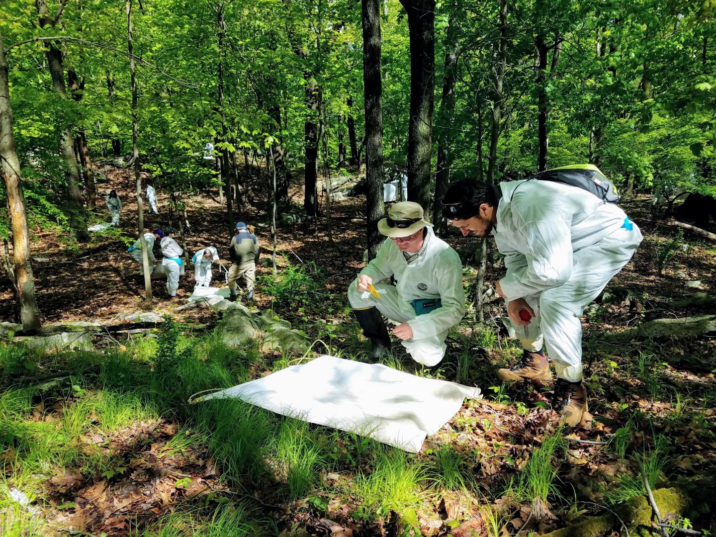 Tick Surveillance