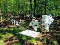 Tick Surveillance