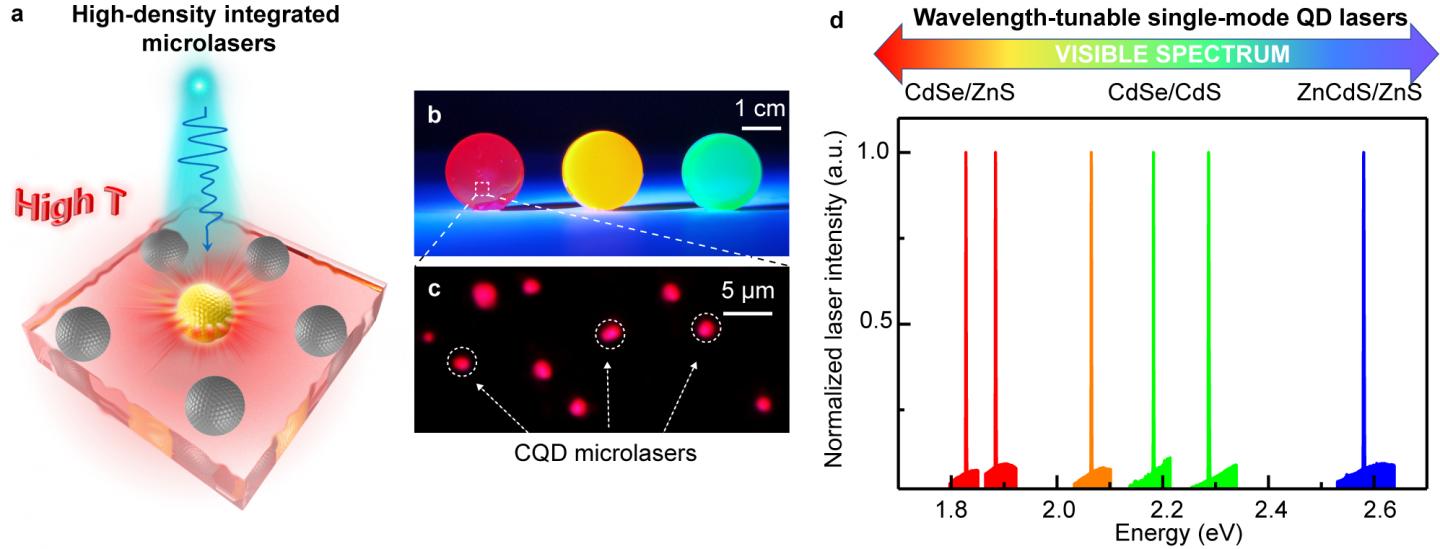 Fig. 2. High-density integrated lasers and broad wavelength-tunable single-mode lasers at high temperature based on CQDAMs.