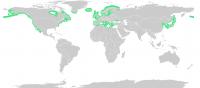 Distribution of Sea Grass <I>Zostera marina</I>