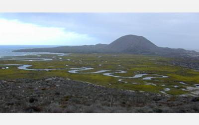 Parasites Outweigh Predators in Pacific Coast Estuaries (1 of 2)