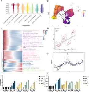 Analysis of monocyte developmental trajectories in sJIA