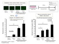 Reduction of DsbA-L
