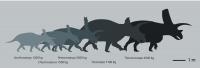 Size Comparison
