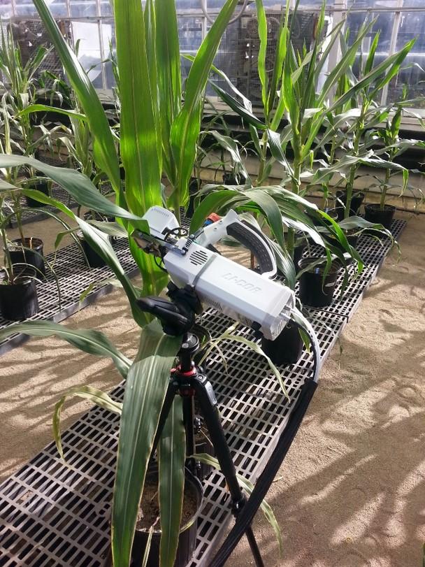Measuring Water Use Efficiency