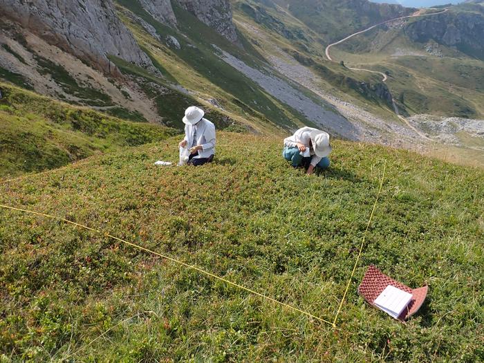 Feldforschung im Bjelasica-Gebirge in Montenegro