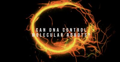 Can DNA control molecular robots?