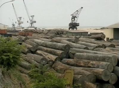 Timber in the Republic of Congo (1 of 3)