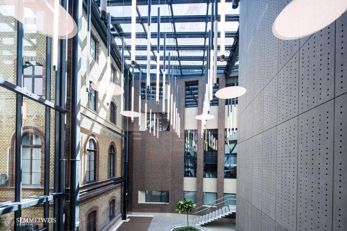 AICER inaugurated at Semmelweis University, Budapest, Hungary