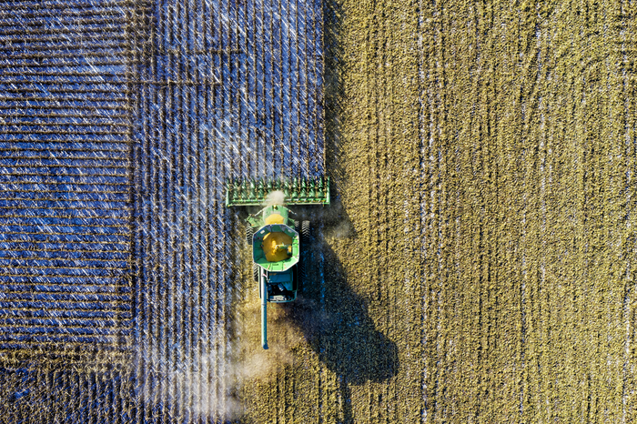 Tom Fisk/Unsplash