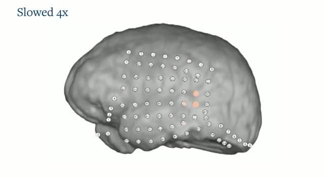 How Does Our Brain Understand Garbled Speech?