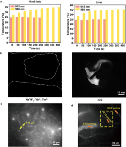 Comparison of the ASF performance of ICG and NaYF4: Yb3+, Tm3+ (UCNPs) and using ICG’s ASF in cerebral vascular tomography and flow velocity measurement