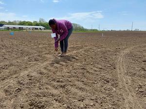 A woman wearing a purple hoodie bends down to sample pellets in in a large, plowed field under a partly cloudy sky.