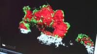 Imaging Lithium-Sulfur Batteries in Operation