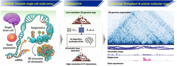 Simultaneous Decoding of Genetic Maps Inside Cells... A Game Changer for Understanding Complex Human Diseases​