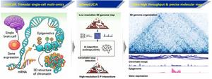 Simultaneous Decoding of Genetic Maps Inside Cells... A Game Changer for Understanding Complex Human Diseases​