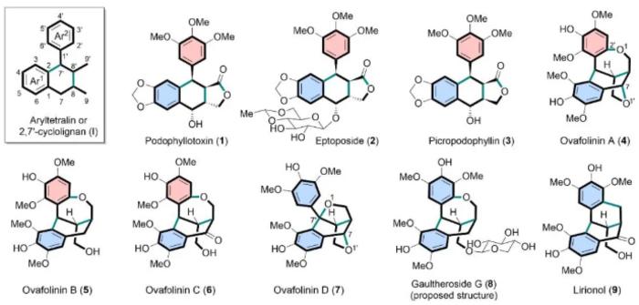 Enantioselective Synthesis of Polycyclic Aromatic Tetralinyl Lignans Based on Symmetry-Directed Strategy