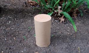 Cardboard-confined rammed earth column