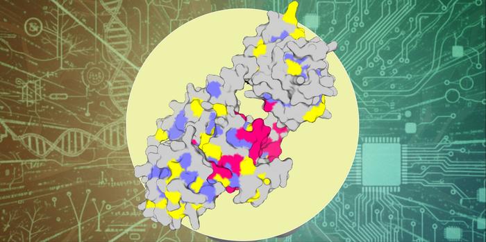 Schematic illustration of natural sequence information being combined with deep-learning-based designed sequences.
