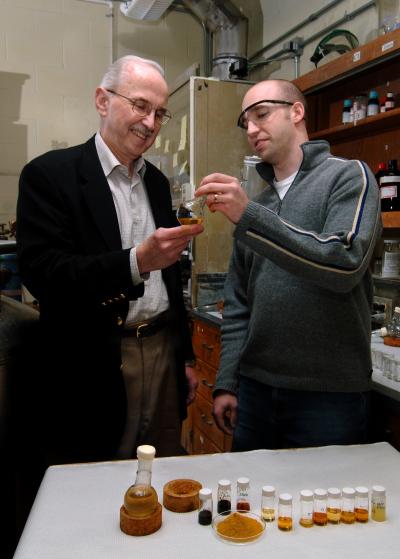 Breaking Down Cellulose