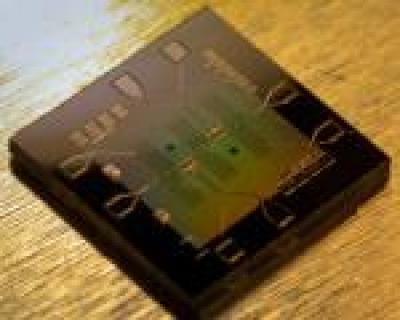 Chip Containing a Superconducting Integrated Circuit