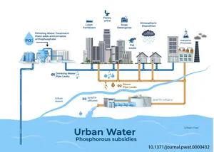 Urban water phosphorus subsidies