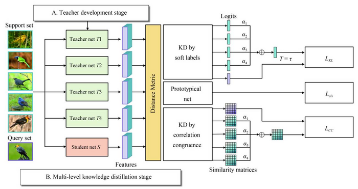 Teachers cooperation: team-knowledge distillation for multiple cross-domain few-shot learning
