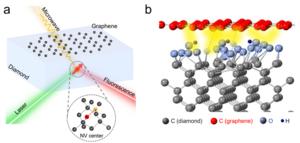 Schematic of graphene-diamond heterostructure hybridization