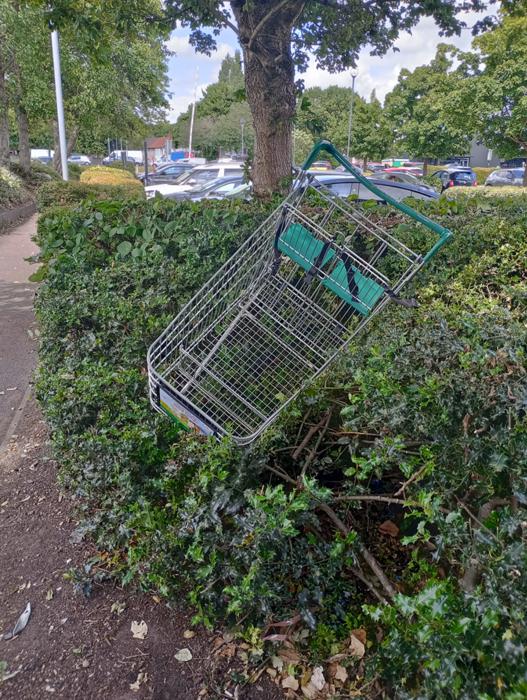 Abandoned Trolley 1