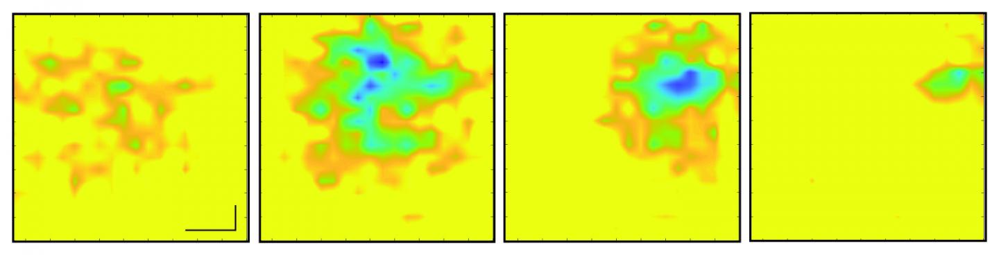 Real-Time Electrical Activity of Beating Heart