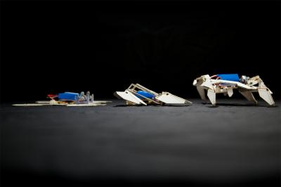 Self-Folding Robots