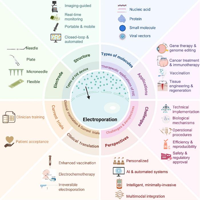 In vivo Electroporation: From Electrical Stimulation to Precision Delivery—An Integrated Overview