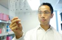 Paul Lee, Garvan Institute of Medical Research