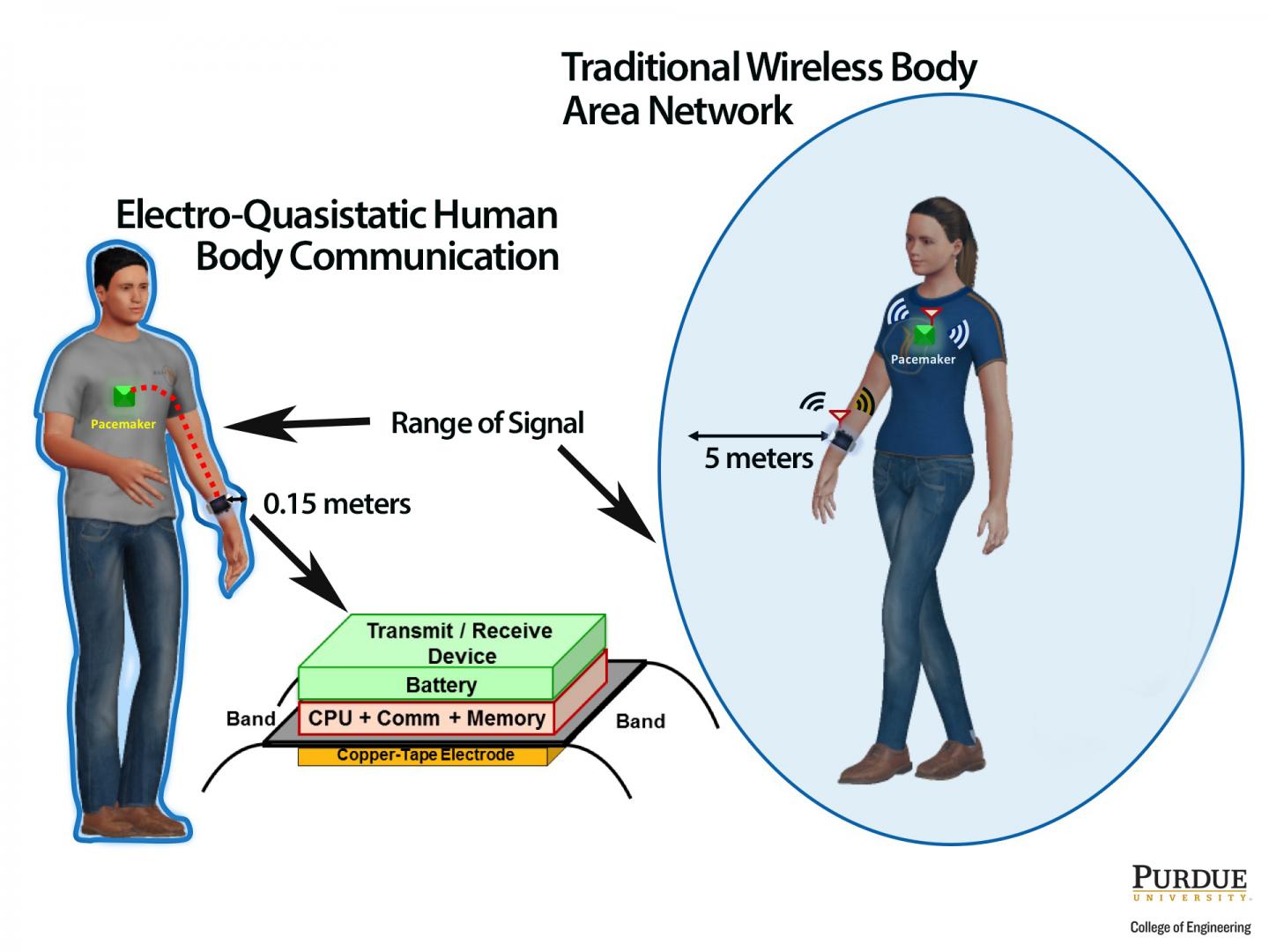 Covert Body Area Network