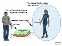 Covert Body Area Network
