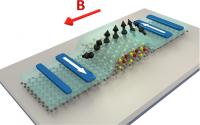 Giant Spin Anisotropy in Graphene (2 of 3)