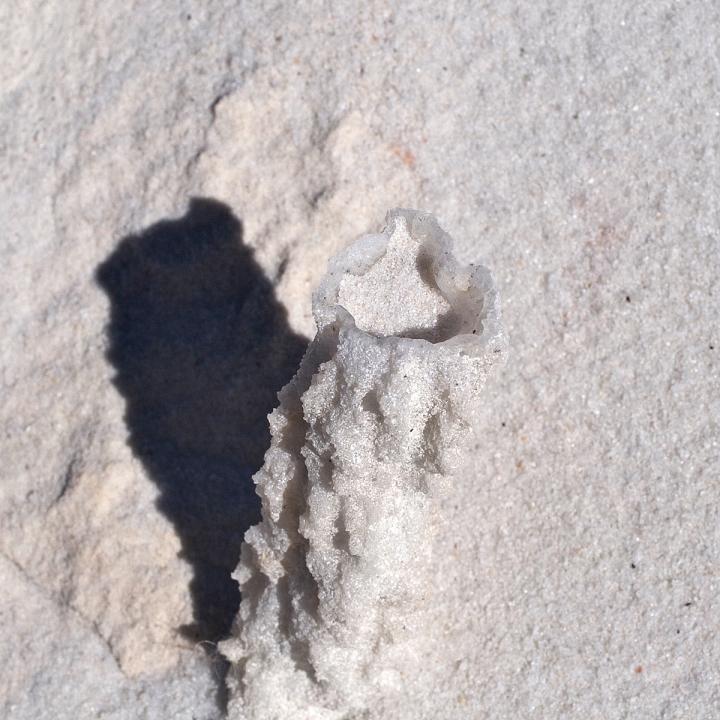 Fulgurite