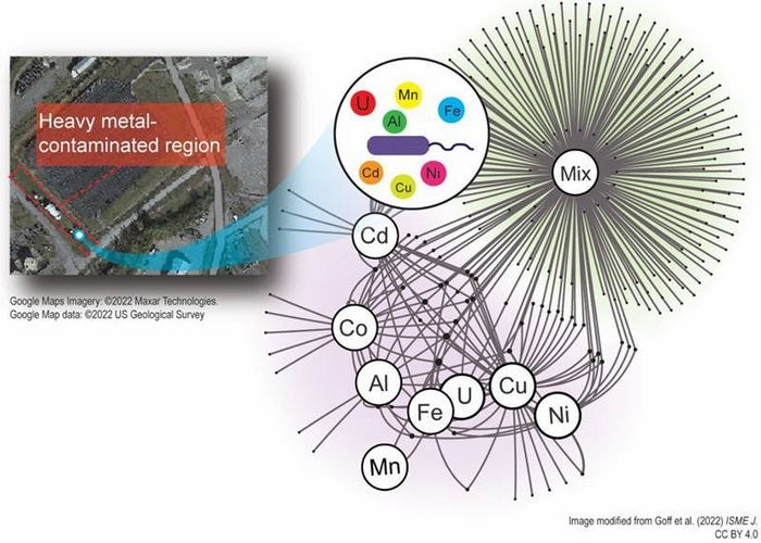 Metal Contamination Causes Metabolic Stress in Environmental Bacteria