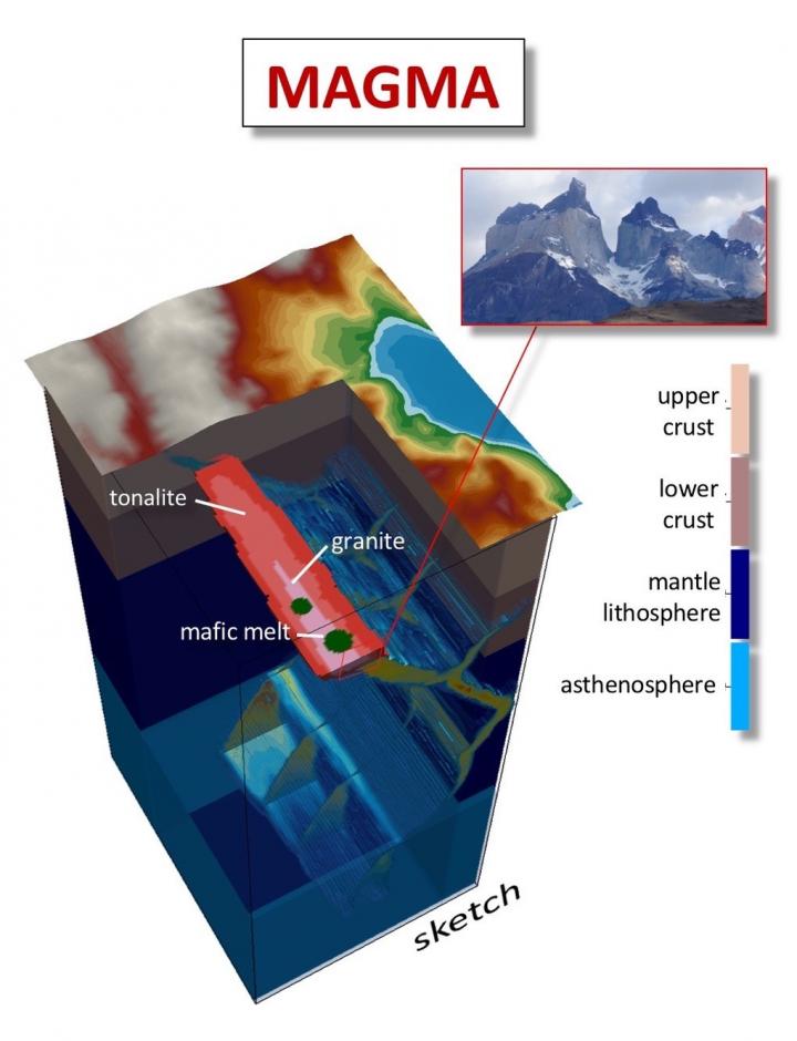 Schematic View