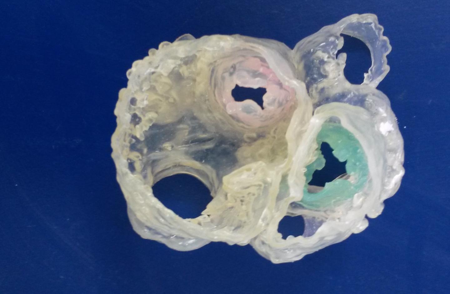 Heart Model 2