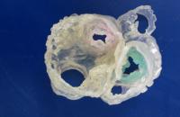 Heart Model 2