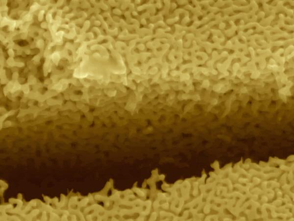High-Speed Metal Alloy Cracking
