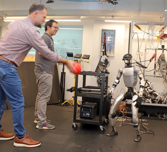 Humanoid Safety - Control Barrier Functions and Dodgeball