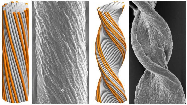 Two Types of Twisted Filament Bundles