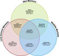 Wet Market Descriptions